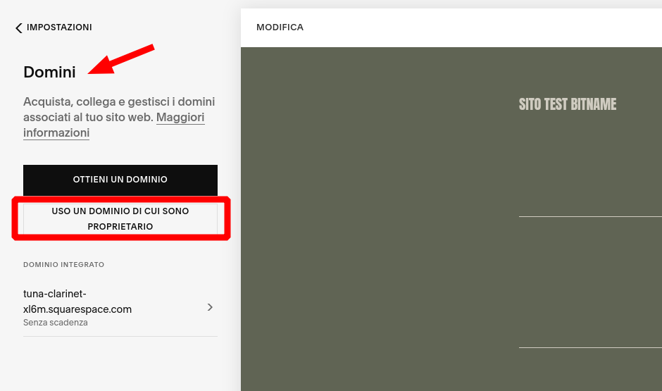 Impostazioni domini Squarespace